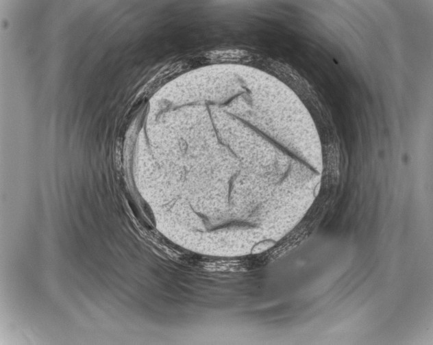 X0000085730761200704131619