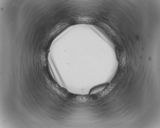 X0000085730764200704131619