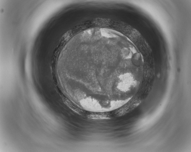 X0000085730765200704131619