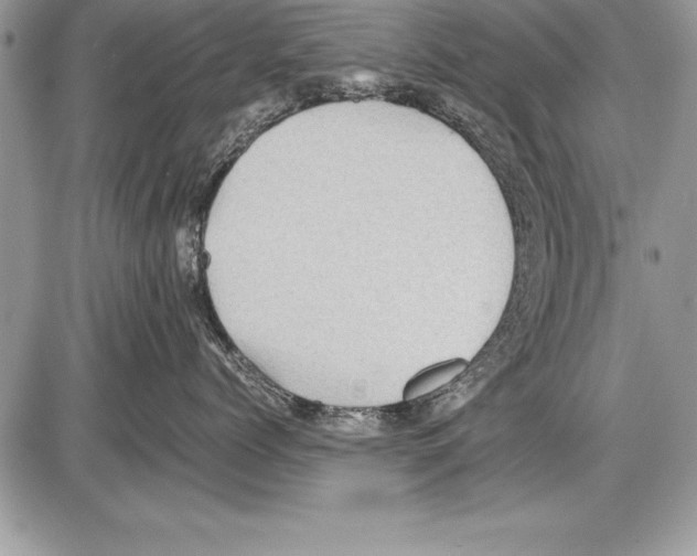 X0000085730768200704131619