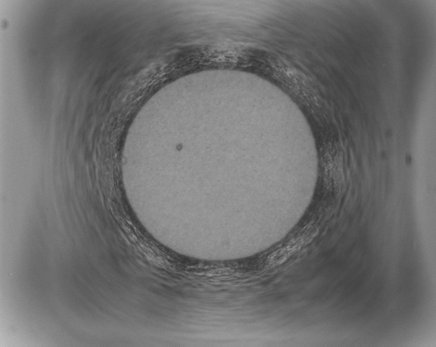 X0000085730769200704131618