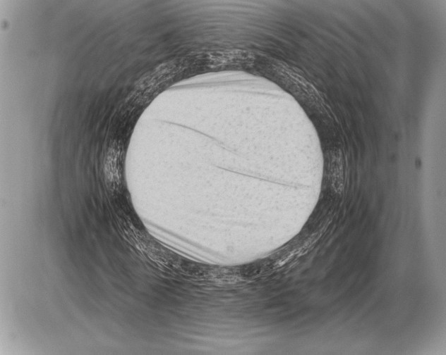 X0000085730770200704131618