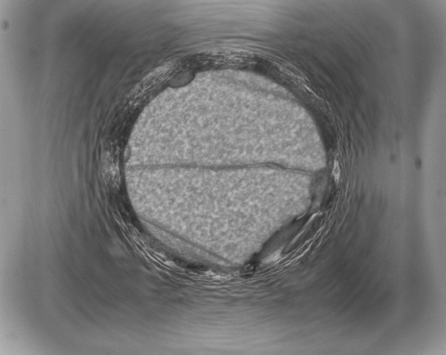 X0000085730771200704131618