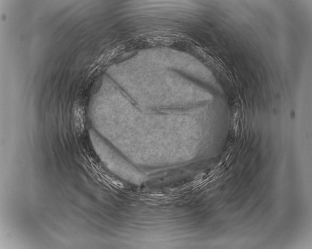 X0000085730772200704131618