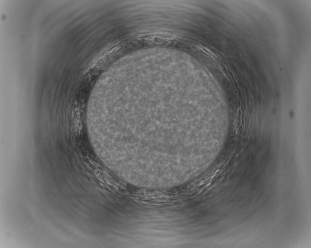 X0000085730774200704131618