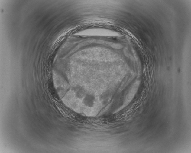 X0000085730775200704131618