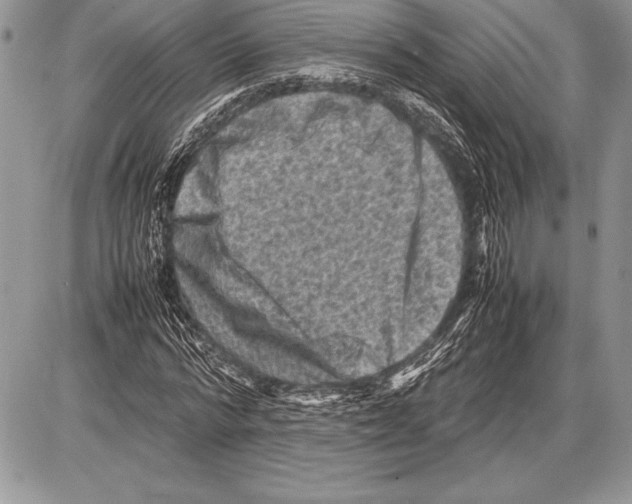 X0000085730776200704131618