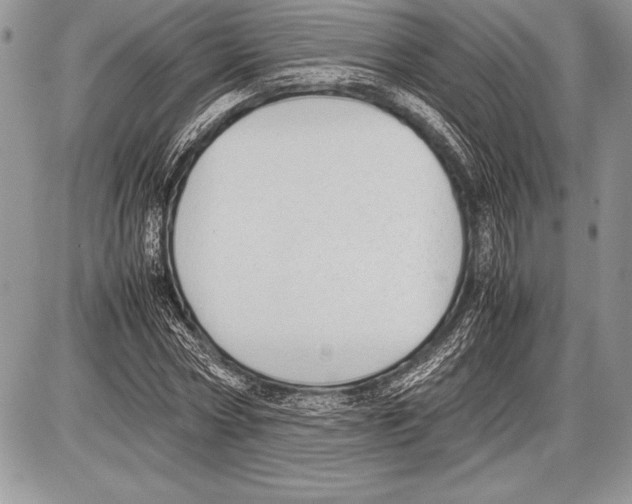 X0000085730778200704131618