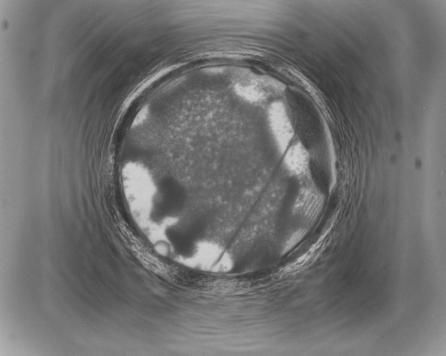 X0000085730779200704131618