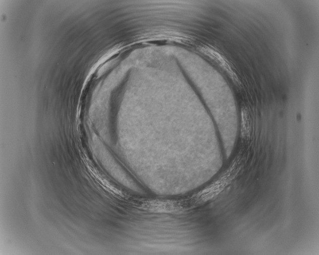 X0000085730780200704131618