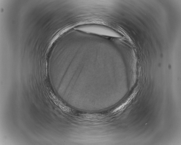 X0000085730781200704131618