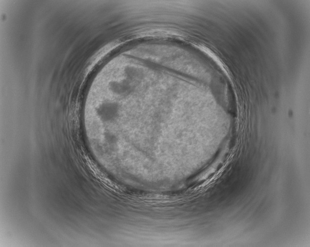 X0000085730783200704131618