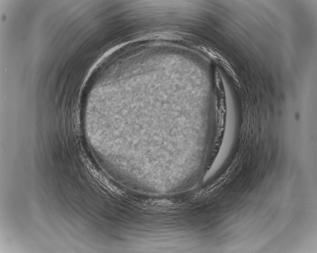 X0000085730784200704131618