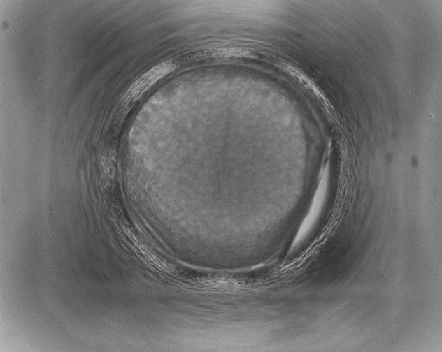 X0000085730785200704131618