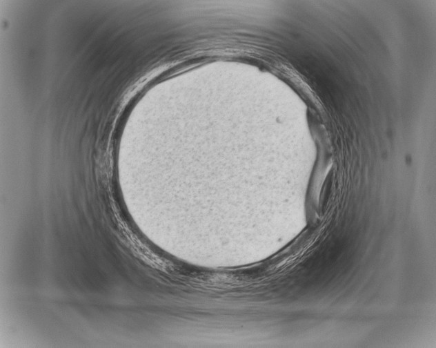 X0000085730787200704131618