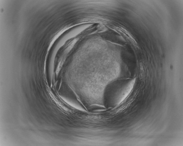 X0000085730788200704131618