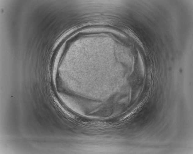 X0000085730789200704131618