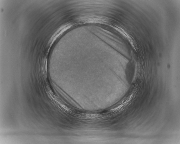 X0000085730790200704131618