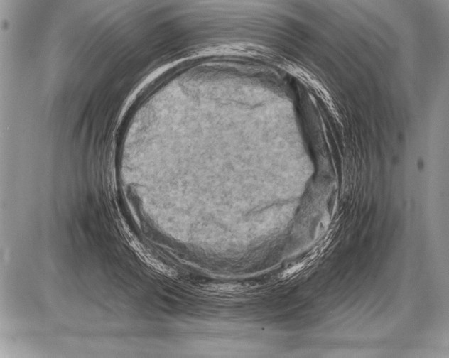 X0000085730792200704131618