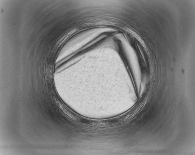 X0000085730793200704131618