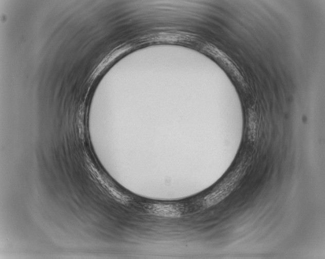 X0000085730794200704131618