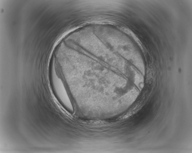 X0000085730795200704131618