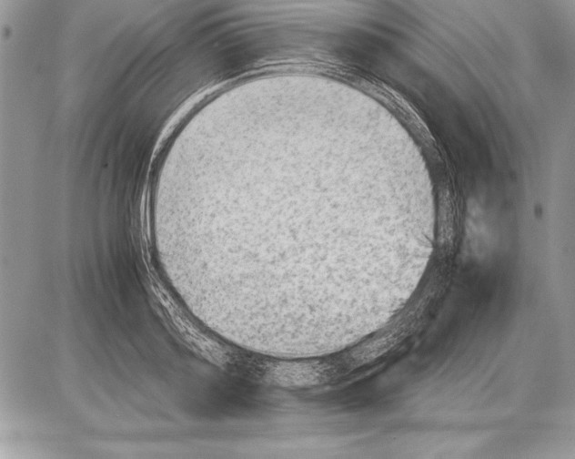 X0000085730796200704131618