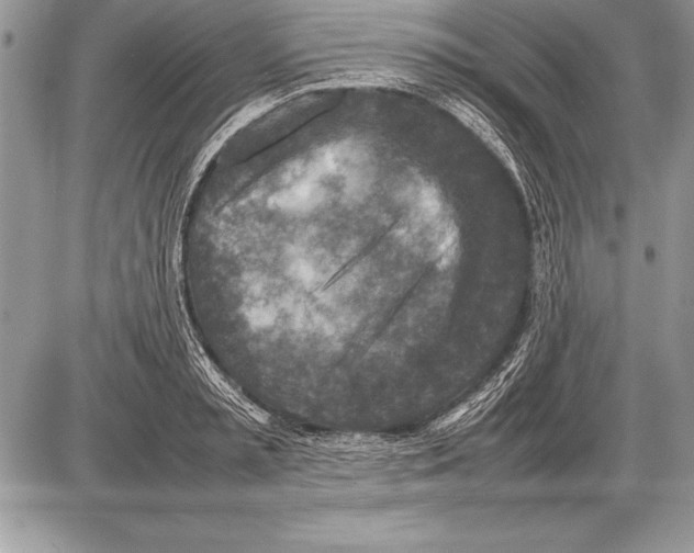 X0000085730797200704131618