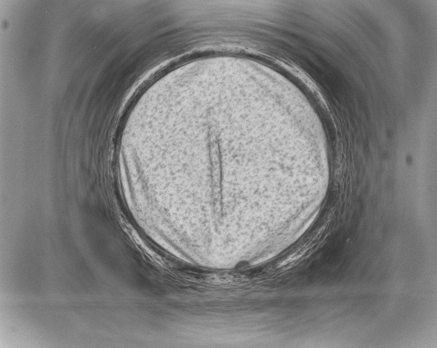 X0000085730799200704131618