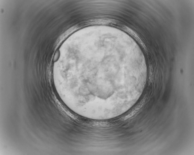 X0000085730802200704131618