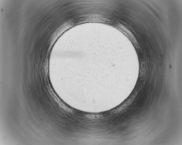 X0000085730804200704131618