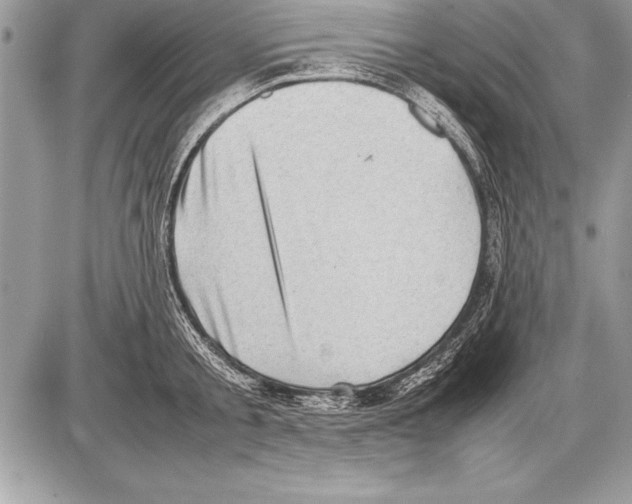 X0000085730805200704131618