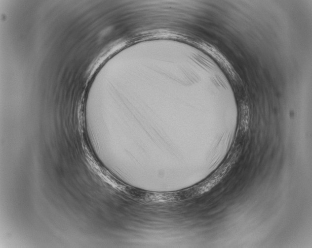 X0000085730806200704131618