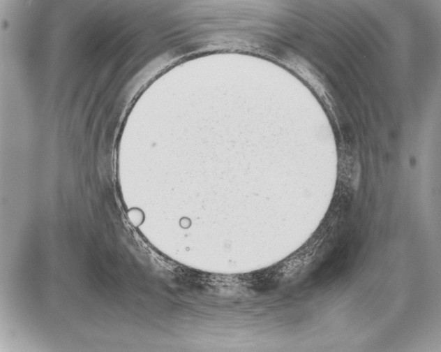 X0000085730807200704131618