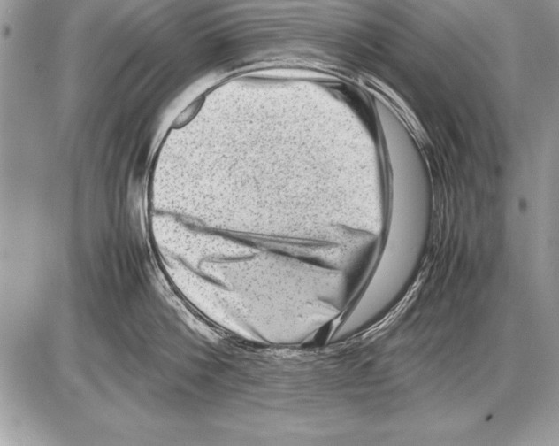 X0000085730812200704131617