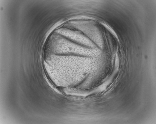 X0000085730813200704131617