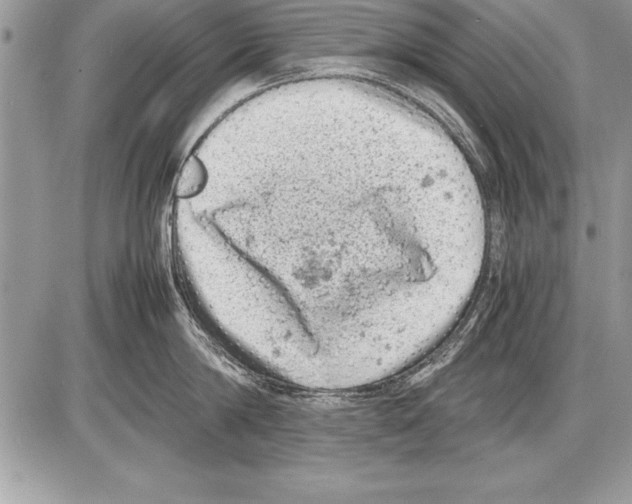 X0000085730814200704131617