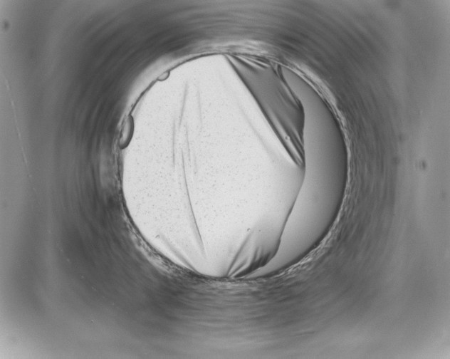 X0000085730816200704131617