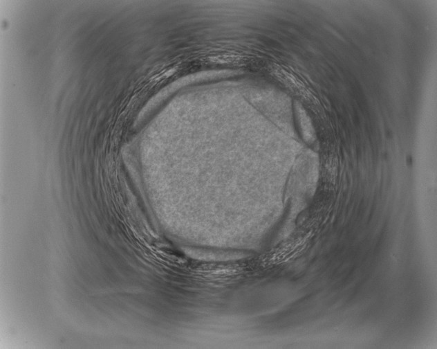 X0000085730817200704131617