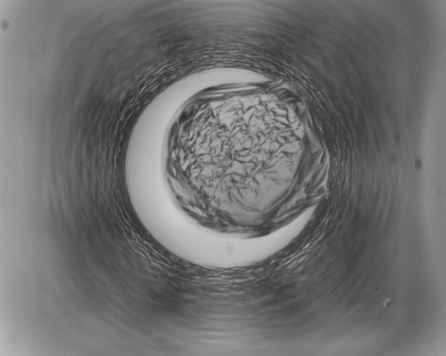 X0000085730818200704131617