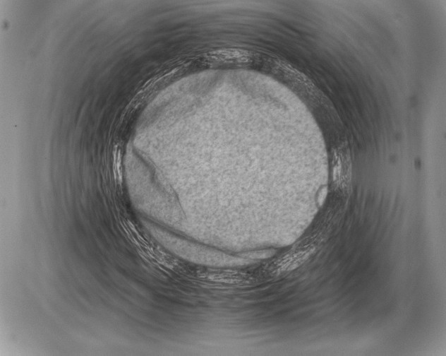 X0000085730819200704131617