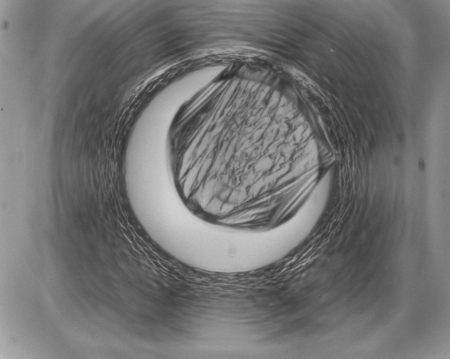 X0000085730822200704131617