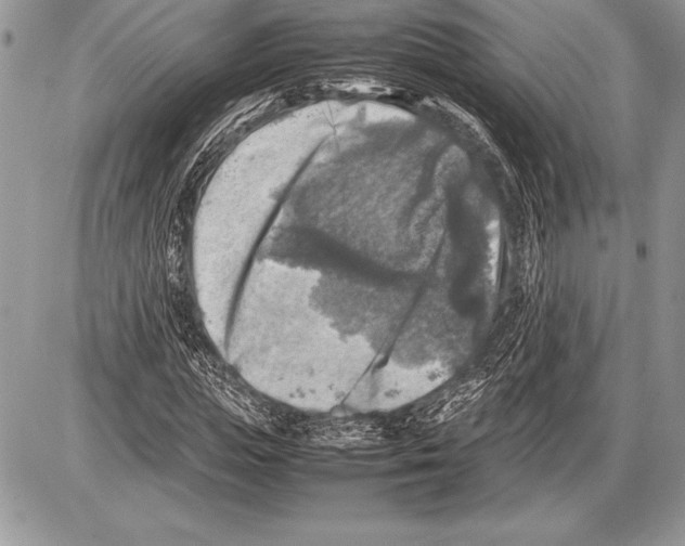 X0000085730823200704131617