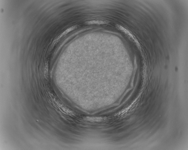 X0000085730825200704131617