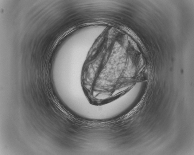 X0000085730826200704131617