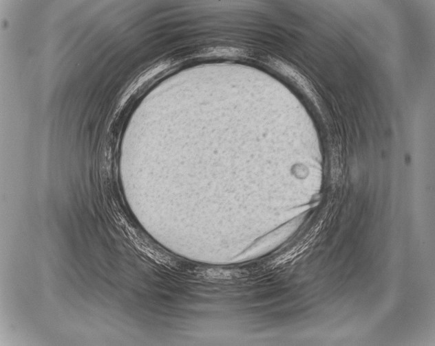 X0000085730827200704131617