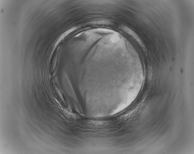 X0000085730829200704131617