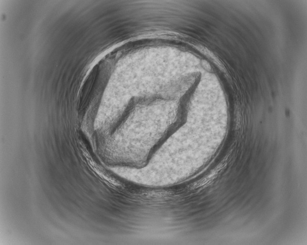 X0000085730830200704131617