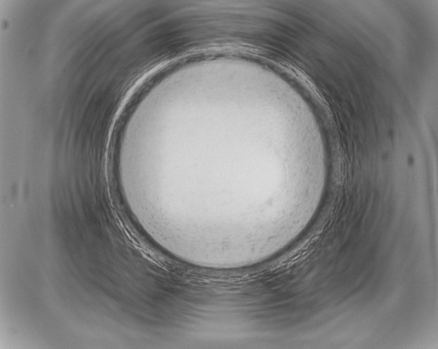 X0000085730832200704131617