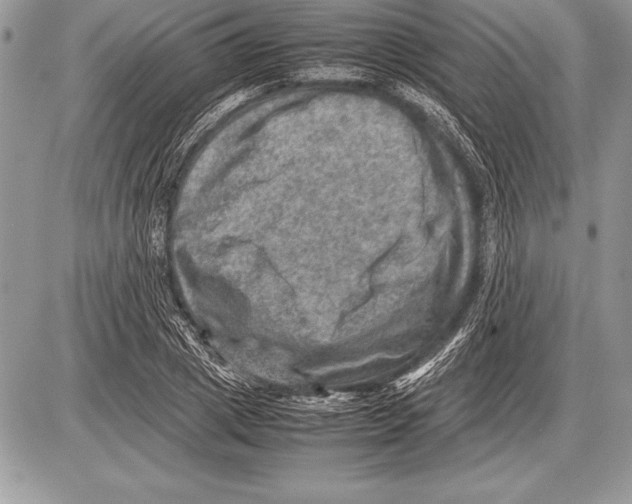 X0000085730833200704131617